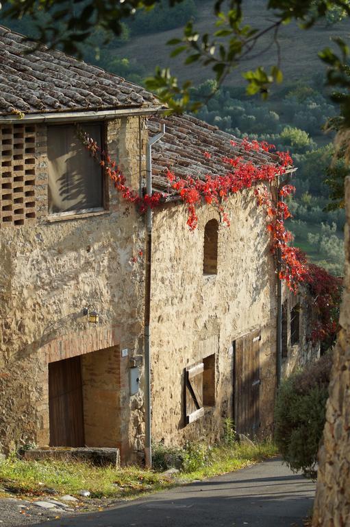 La Mandola Castiglione d'Orcia
